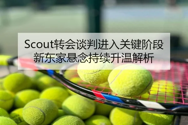Scout转会谈判进入关键阶段新东家悬念持续升温解析
